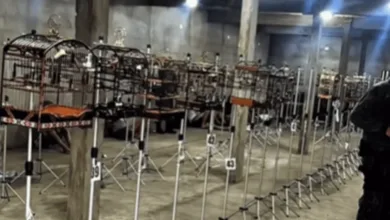 Torneio ilegal de canto de pássaros termina com prisão e suspeitos feridos no litoral paulista 11 Gaiolas com pássaros apreendidas em operação policial