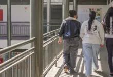 Fies 2026/2: Prazo para faculdades privadas ofertarem vagas termina nesta quarta-feira 3 Estudante utilizando computador para estudos.