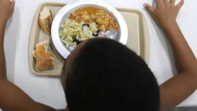 ONU promove ação em Brasília para o Dia Mundial da Alimentação 2 Vista de Brasília com intervenções urbanas